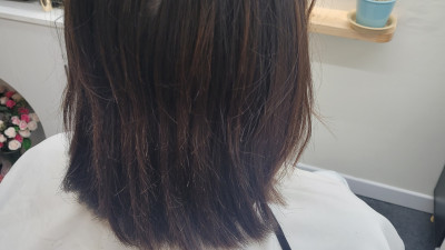보브컷트
